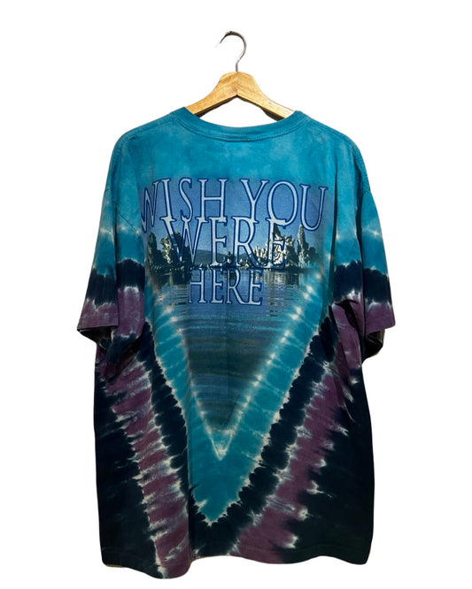 Vintage 2002 Pink Floyd Wish You Were Here Tee