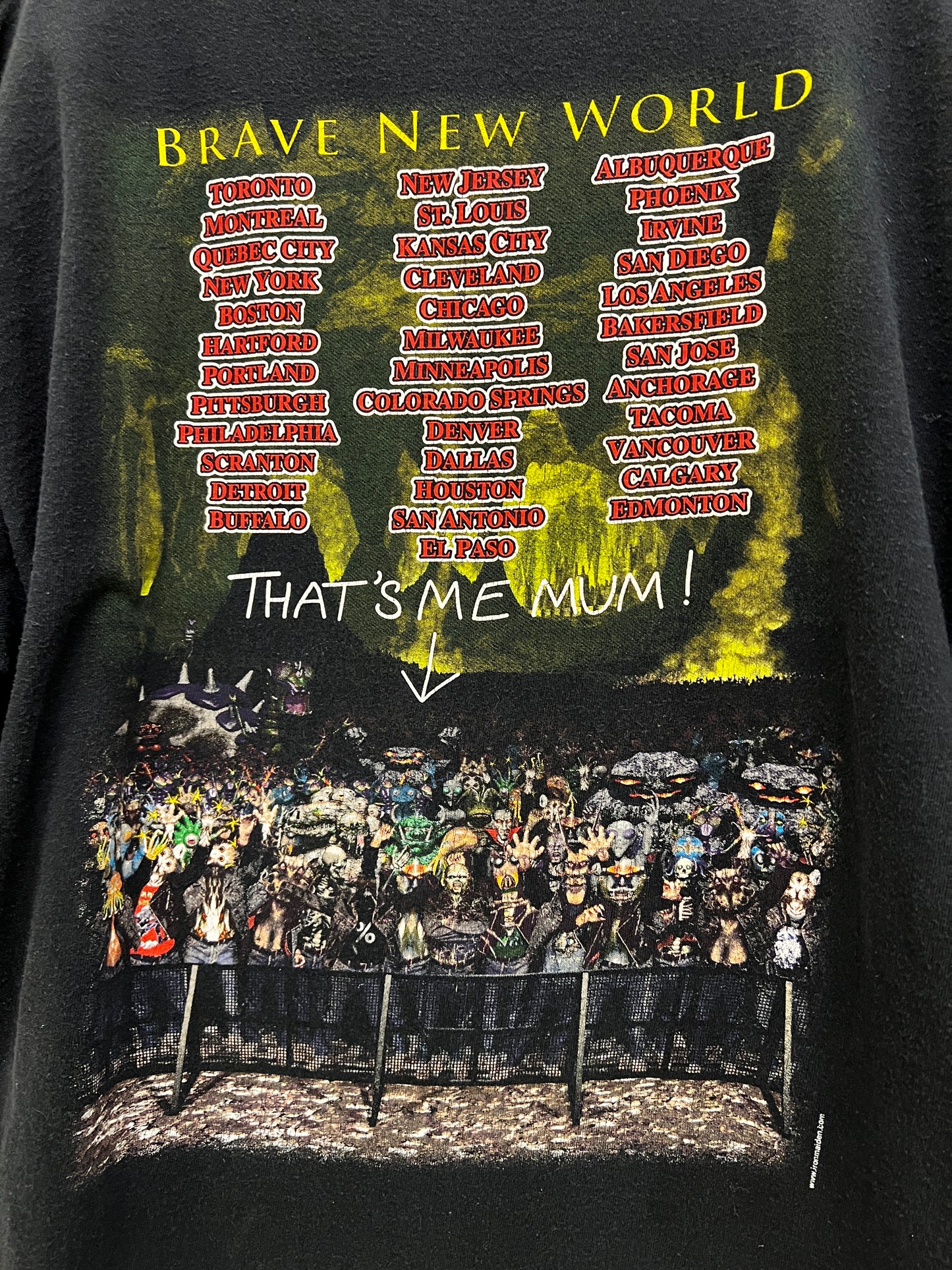 Vintage 2000 Iron Maiden Brave New World Tour Tee