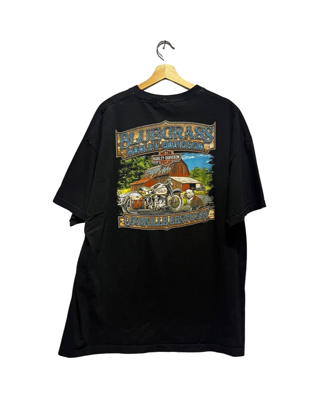 Vintage Harley Davidson Blue Grass Tee