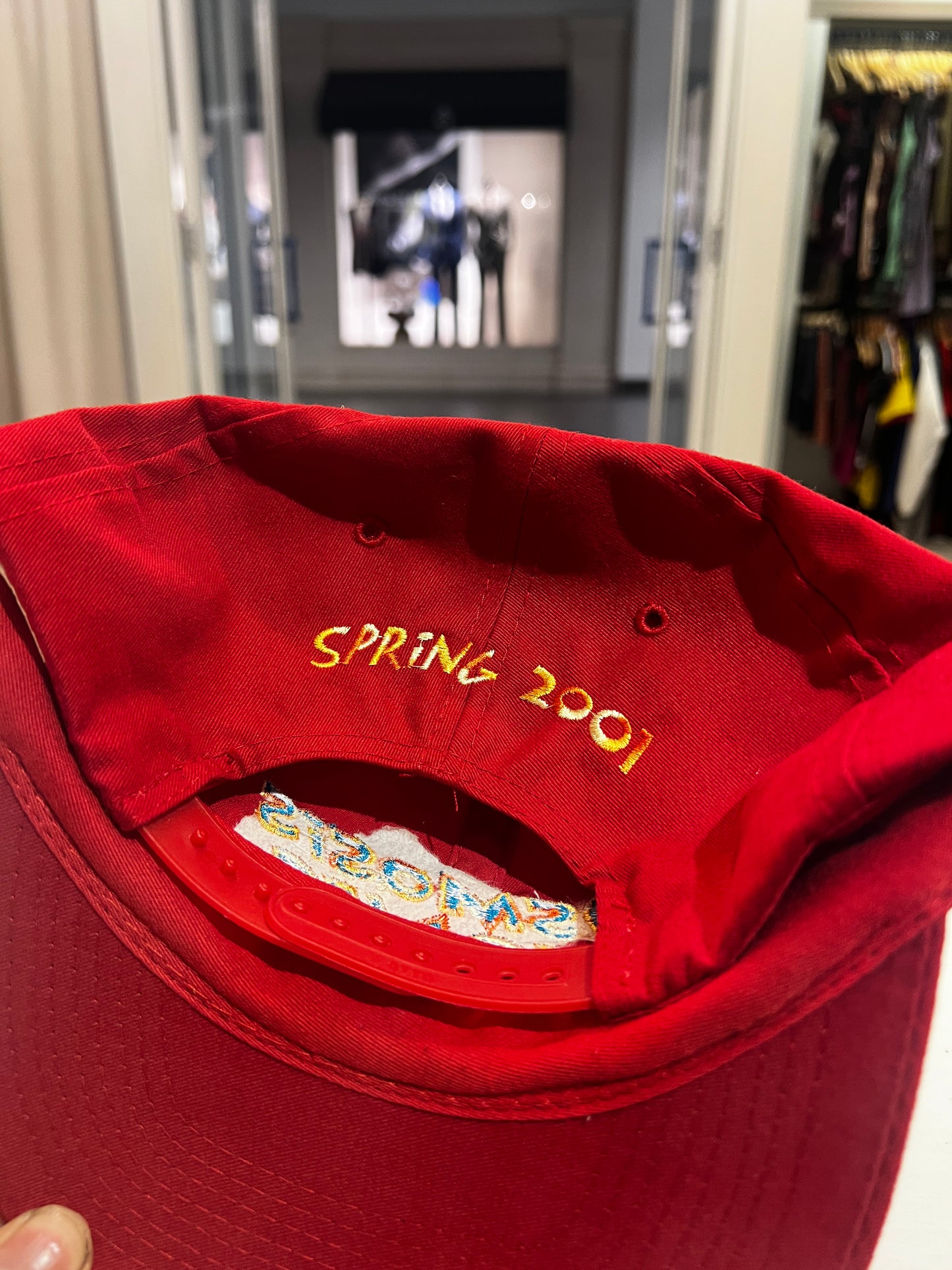 Vintage 2001 Osmosis Jones Movie Promo Red Hat