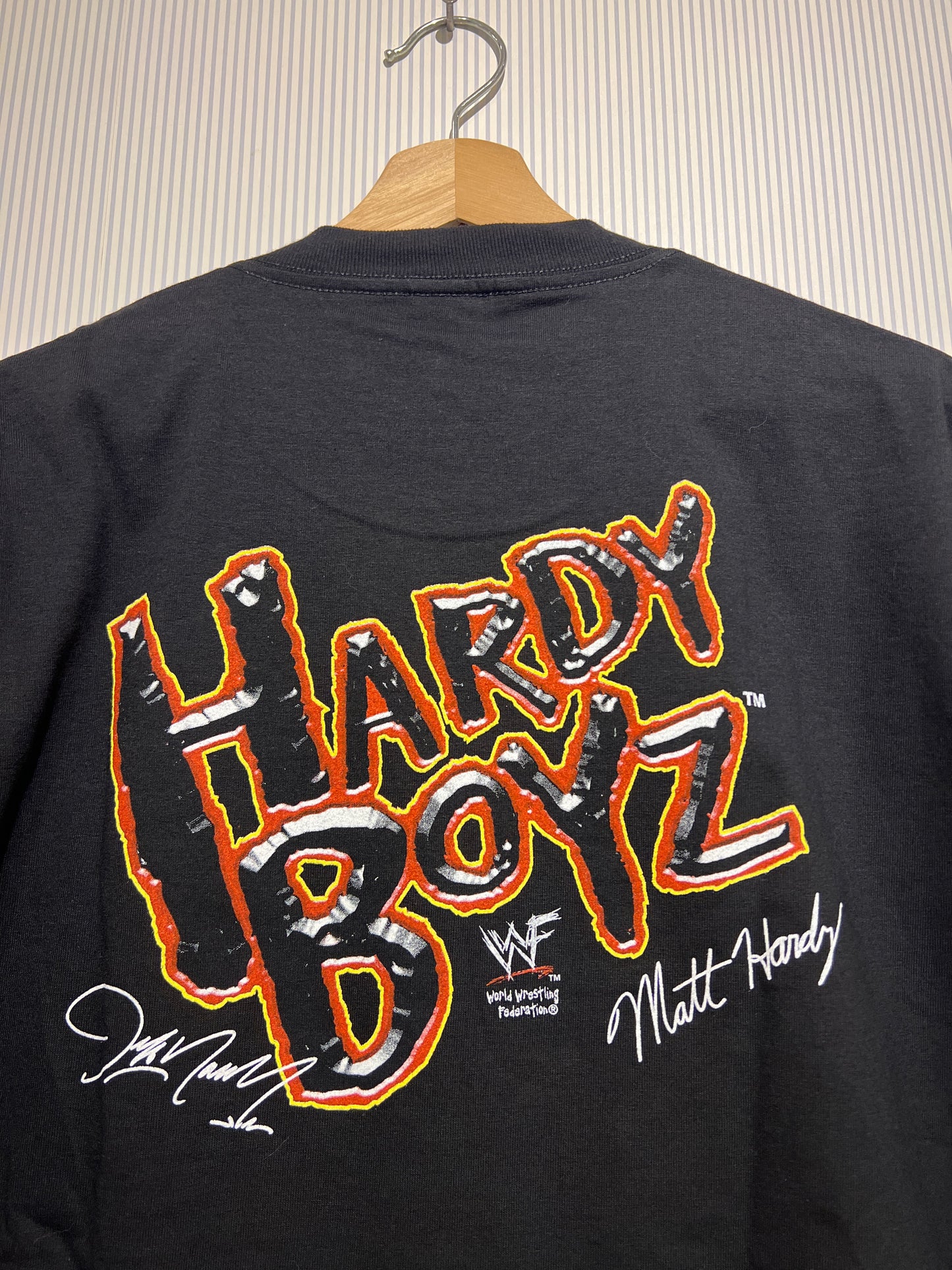 Vintage 2000 Deadstock Hardy Boyz Rare Tee