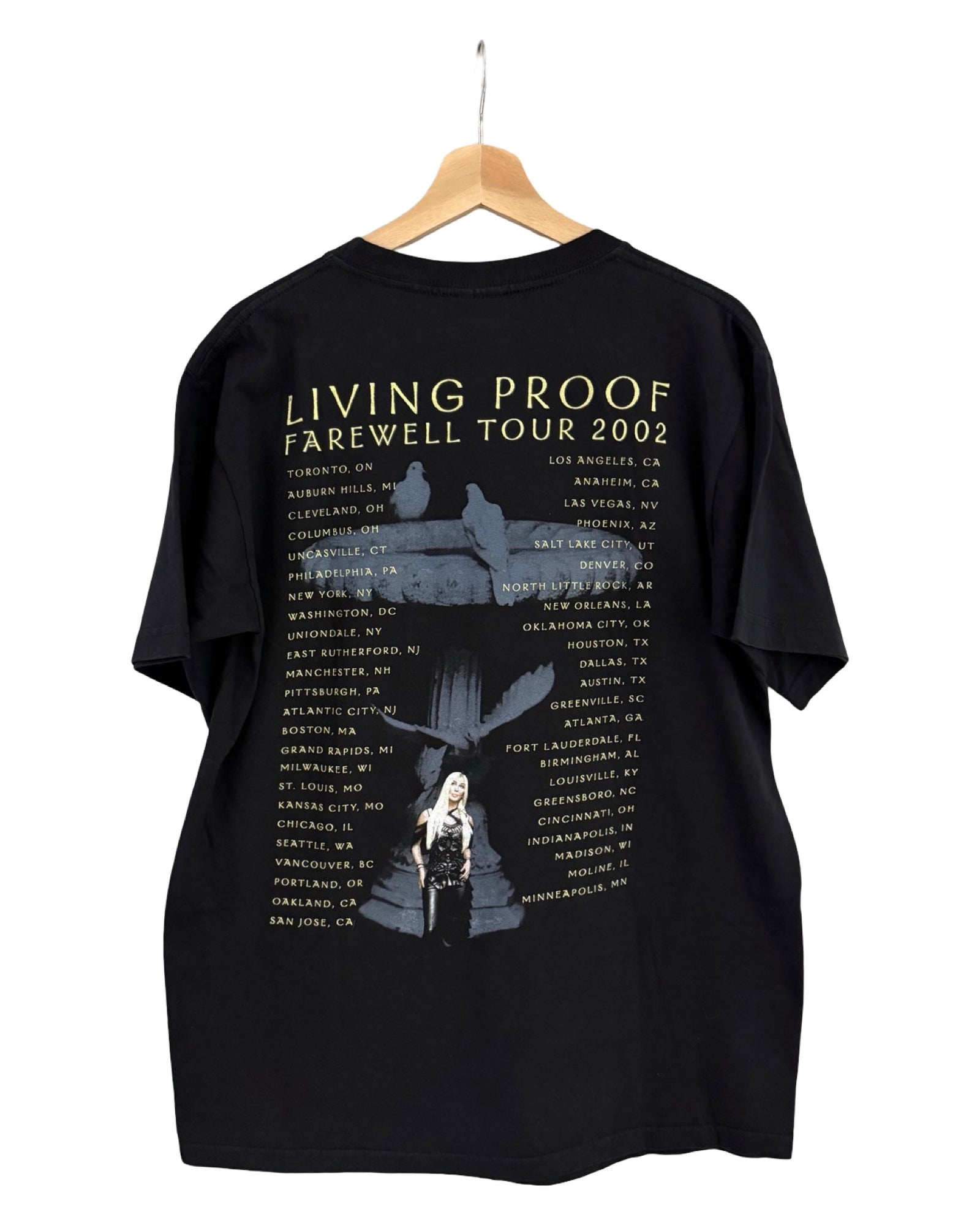 Vintage 2004 Cher Living Proof Tour Tee