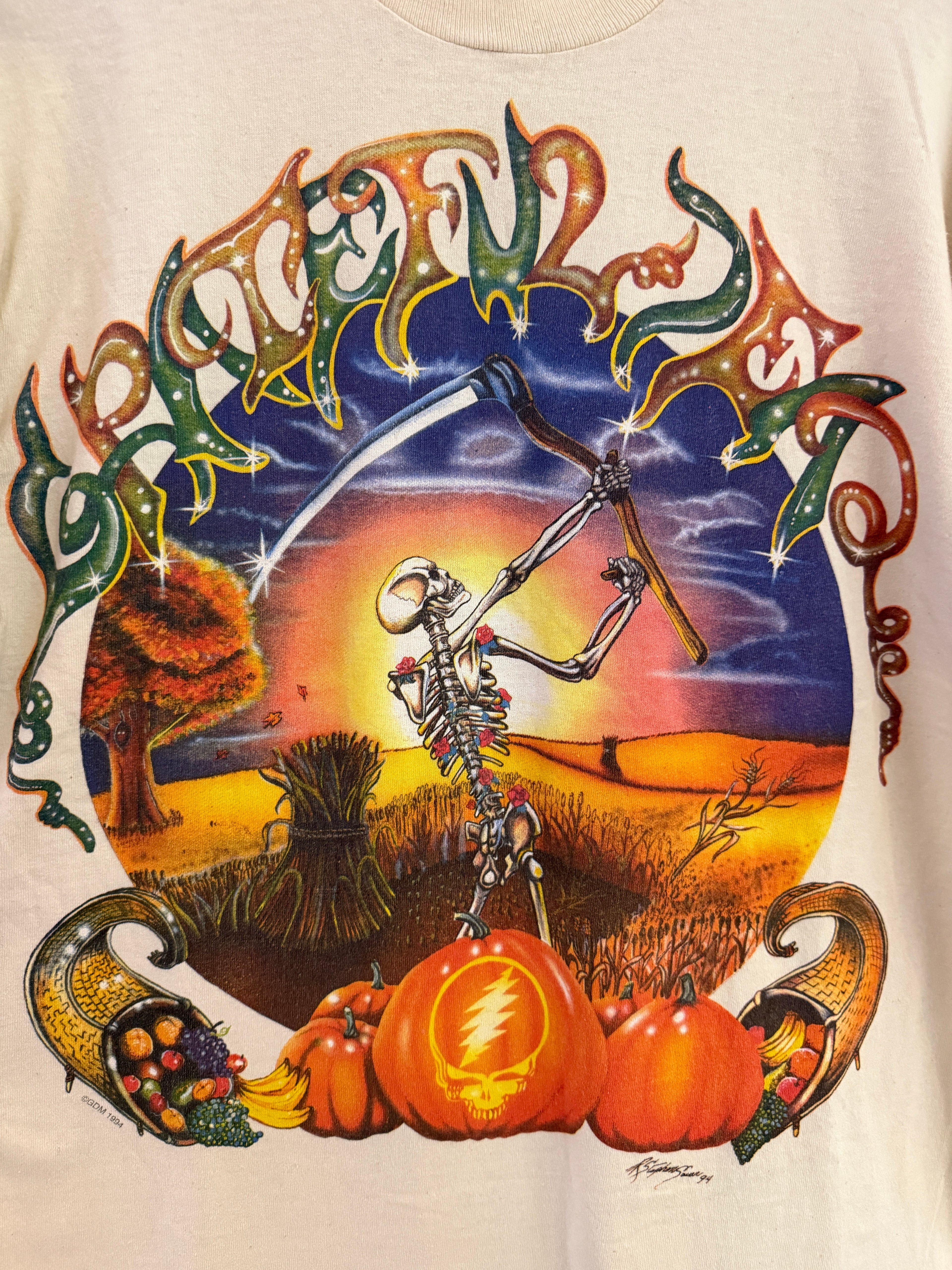 Vintage 1994 Grateful Dead Fall Tour Tee KIF Vintage