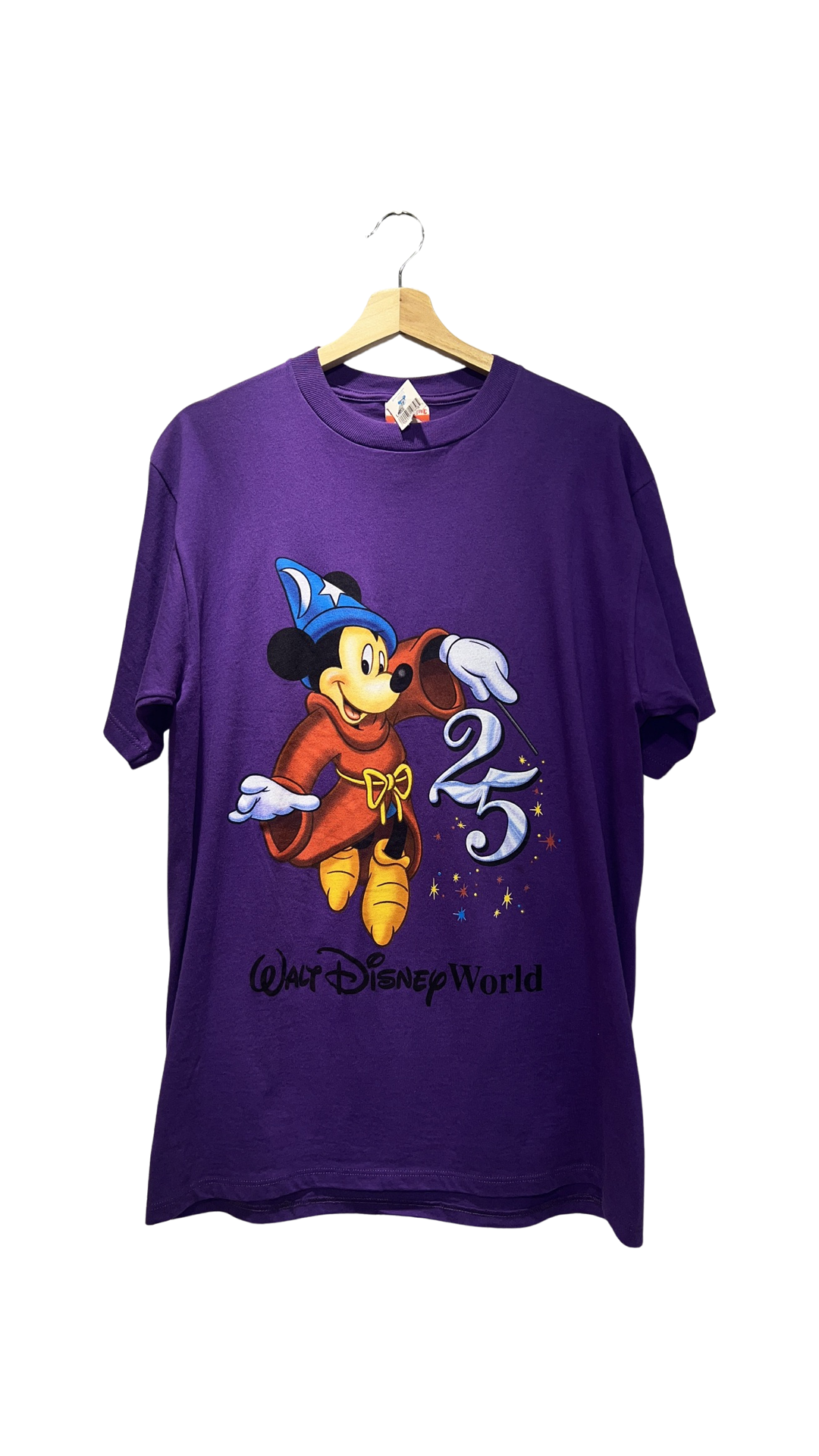 Vintage DS 1996 Walt Disney World 25th Anniversary Tee KIF Vintage